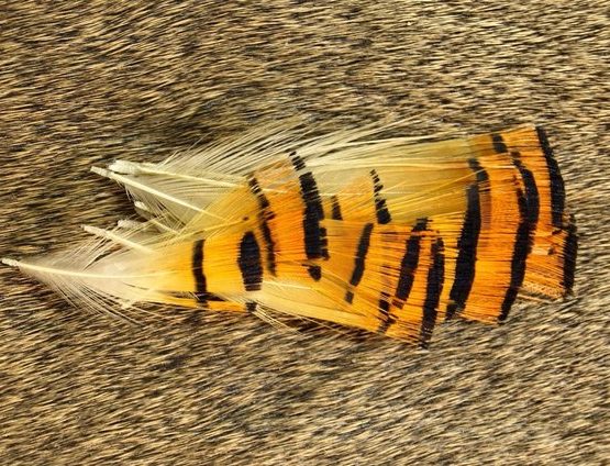 Nature's Spirit Golden Pheasant Tippet Assortment